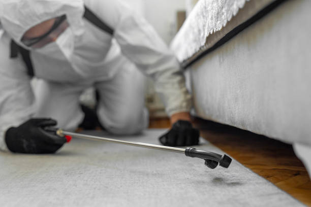 Professional Cockroach Control technician working in Texanna, OK