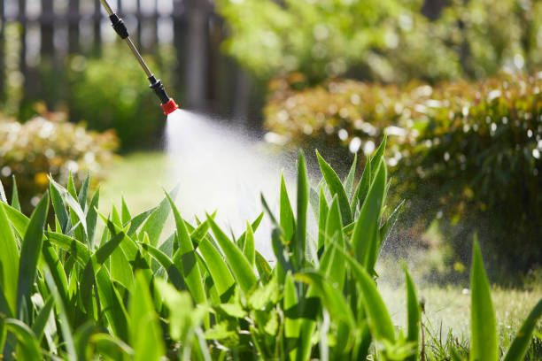24/7 Emergency Cockroach Control experts in Texanna, OK