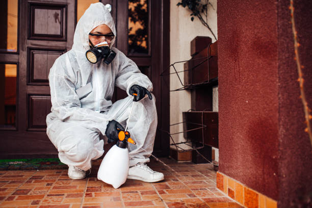 Reliable Cockroach Control contractor in Texanna, OK by Nex Pest Control