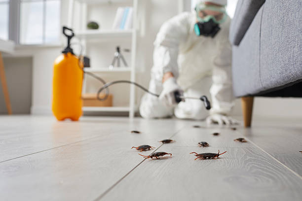Trusted Termite Control service in Texanna, OK - Nex Pest Control