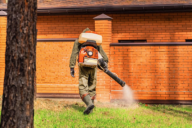 Trusted Cockroach Control service in Texanna, OK - Nex Pest Control
